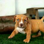 Mario crane - @mariocrane39 - Instagram
