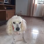 Mario Cuartas - @mario.cuartas.129 - Instagram