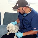Mario Gutiérrez Cueto - @mario_vet_lonquimay - Instagram