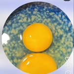 mario dankoo - @mario_dankoox - Instagram