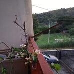 Mario Dattilo - Facebook
