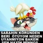 Mario Dedivanovic - @nnokeypbynnoreo - Instagram