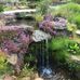 Marie Delbridge - Facebook