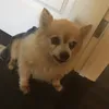 Mario del - @mariodel19 - TikTok