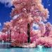Mario D'Elia - Facebook