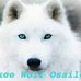 Marion Denson - Facebook