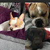 ❤️Diamond,Louie,Mario❤️ - @mario.diamond.louie - TikTok