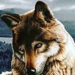 bärämanni_68 - @dick.mario - Instagram