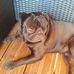 Mario Dick - Facebook