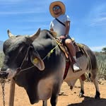 Mario Dimas Vinzha - @samaelinn - Instagram