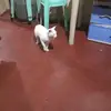 Mario Dizon - @mario.dizon4 - TikTok