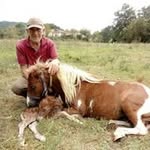 Mario Donatelli - @mariodonatelli14 - Instagram