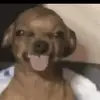 MARIO66🇮🇹 - @mario.draghi66 - TikTok