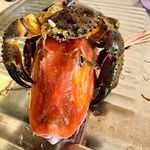 Mario Dragičević - @dragicevic.mario - Instagram
