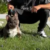 LUXETOY KENNEL - @marioduenas97 - TikTok