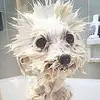 mariomcduff947 - @mariomcduff947 - TikTok
