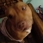 Mario Duron - Facebook