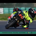 Mario Errico - @marioerrico_31 - Instagram