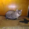 Mario Estrella486 - @marioestrella486 - TikTok
