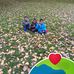 Mario Fermin - Facebook