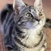 Marion Flood - @marion.flood - TikTok