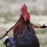 cabalito - @marioflorian - Instagram