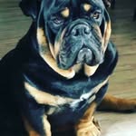 Mario Florian - @marioflorian600 - Instagram
