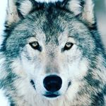 Mario Formisano - @mario.formisano.372 - Instagram