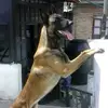 Mario Garcia Gama - @mariogarciagama - TikTok