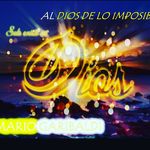 mario garibaldi - @mariogaribaldipma - Instagram
