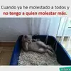 Mario  - @mariomagenta11 - TikTok