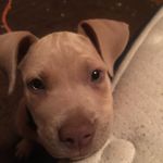 Mario Goins - @goinsmario - Instagram