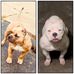 Mario Goins - Facebook