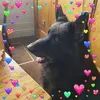 Marion Green - @marion.green7 - TikTok
