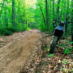 Mario Guay - @guay412 - Instagram