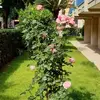 Mario Guerrini845 - @marioguerrini845 - TikTok