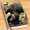 marioguerrini811 - @marioguerrini811 - TikTok