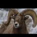 Mario Gulla - Facebook