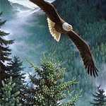 Mario Gullà - @mario.gulla.79 - Instagram