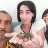 mariogullo5 - @mariogullo5 - TikTok