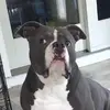 Haley Mario - @haleymario - TikTok