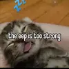 mariohamhampooon - @mariohamhampooon - TikTok