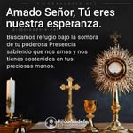Mario Hamilton Orellana Barrera - @mariohamiltonorellanabarrera - Instagram