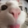 mario.hansen0 - @mario.hansen0 - TikTok