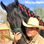 Mario Haro El Patillas - @marioha190 - Instagram