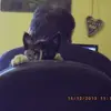 Mario Hasselbach - @mariohasselbach - TikTok