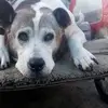 criminal - @mario.helms - TikTok