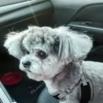 Mario Henderson - @henderson9653 - Instagram