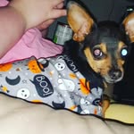 mario Henderson - @mariohenderson2022 - Instagram