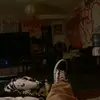 Mario Herbert - @mariohrbrt - TikTok